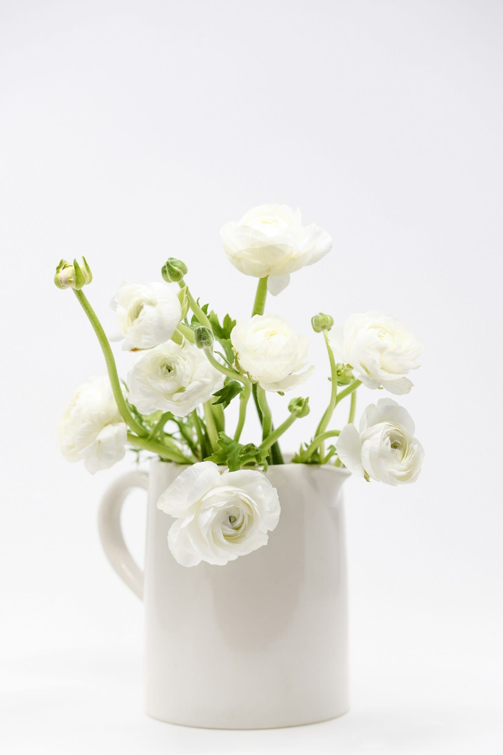 White flowers arranged in a ceramic jug